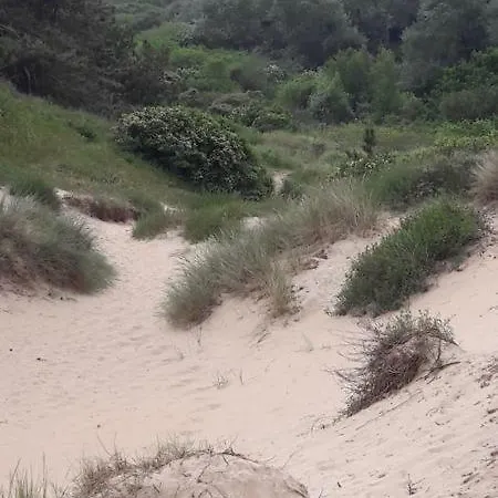 Joleen Aan Zee, Vlakbij Het *