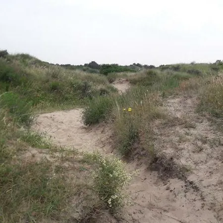 Joleen Aan Zee, Vlakbij Het Chalet