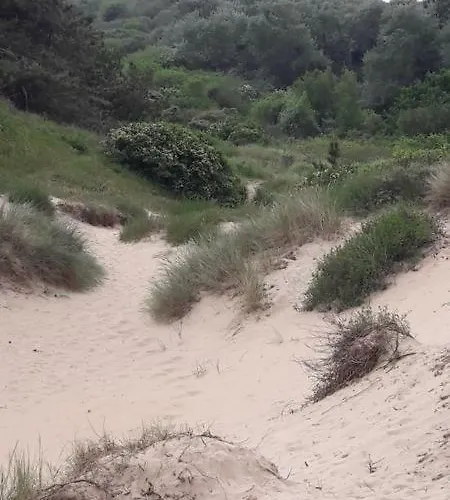 Joleen Aan Zee, Vlakbij Het *